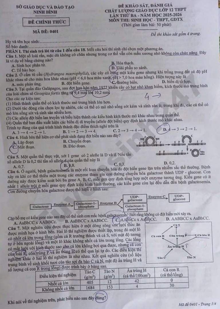 Official exam paper with answers circled directly on the questions